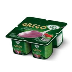 22487-MOCKUP-IOGURTE-GREGO-FRUTAS-VERMELHAS-360G_AF02-500x500